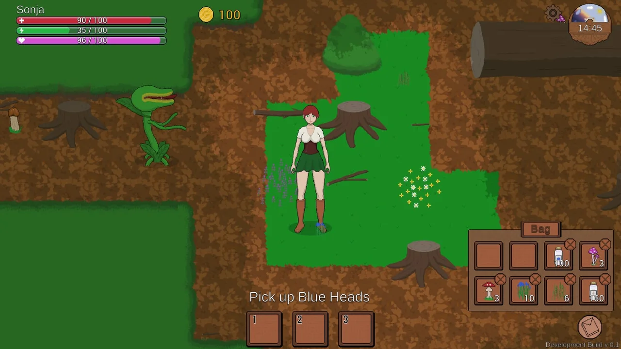 Potion Shop Schwesterherz Preview 4