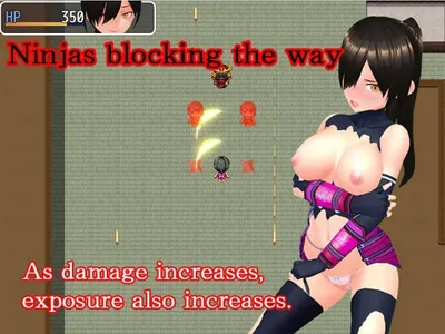 Ntr Kunoichi Ayame Retrieve the Secret Book of the Village Nandr Preview 2