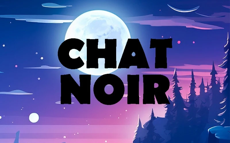 Chat Noir